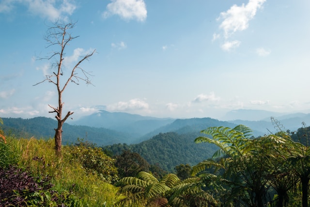 Parcs et réserves naturelles