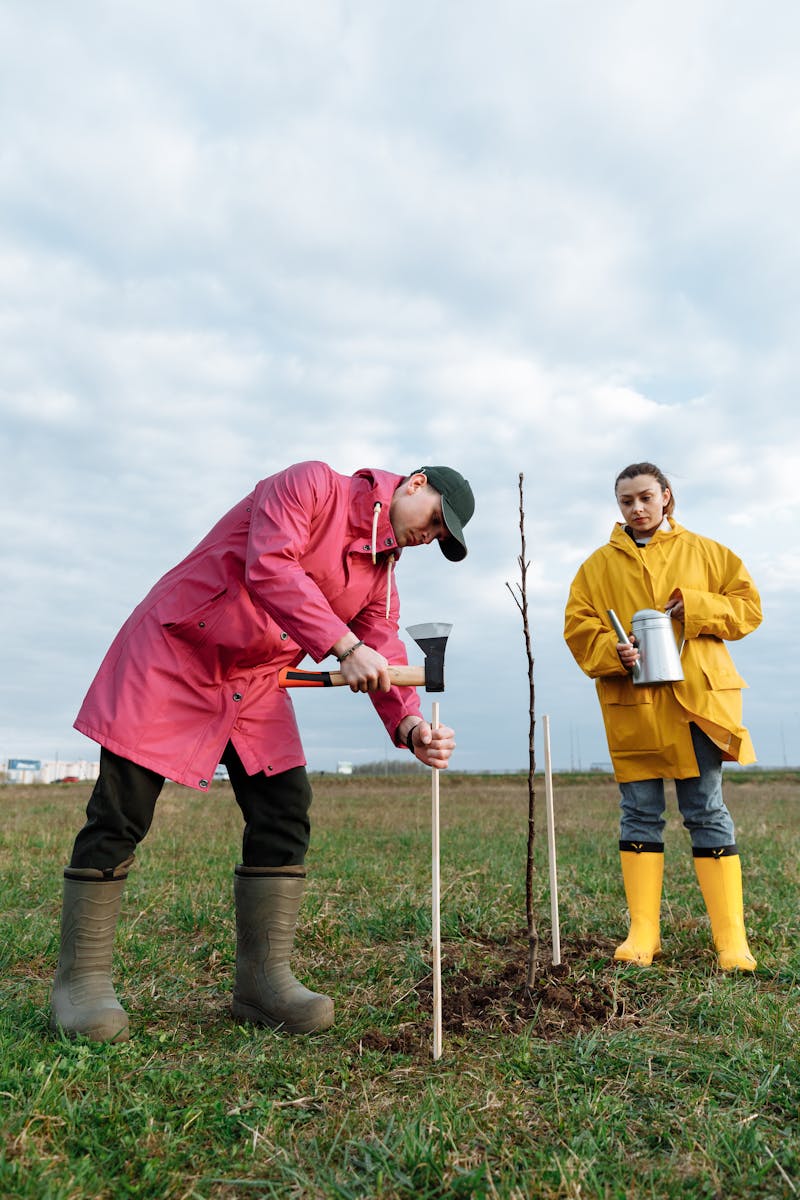 Restauration des sols agricoles